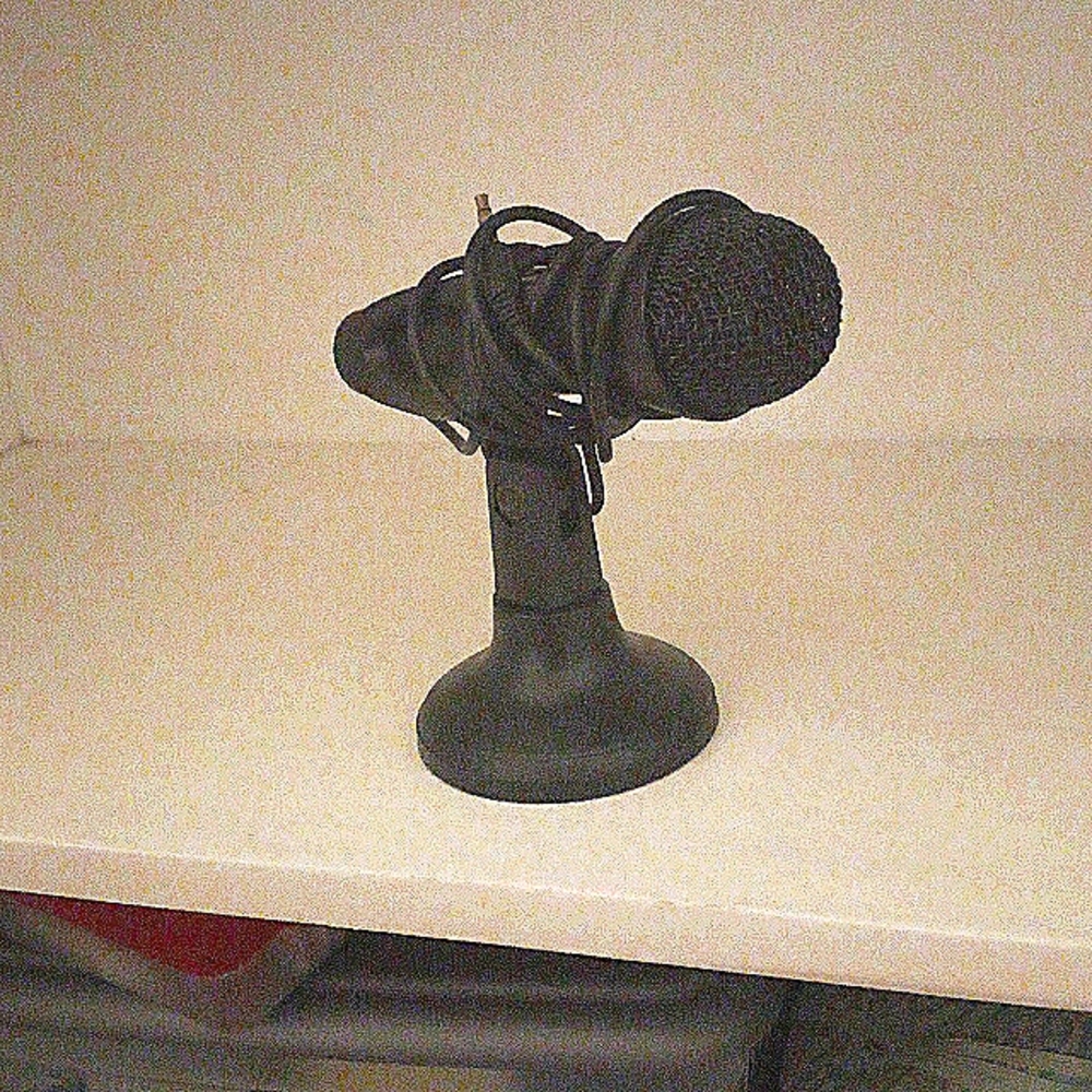 Microphone
